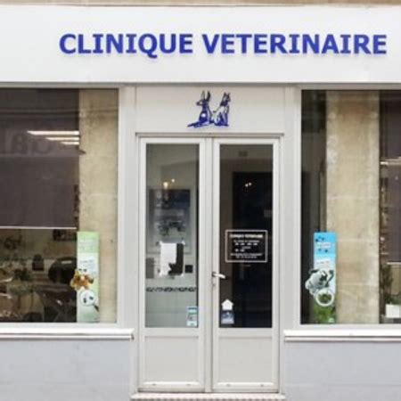 vtrinaire metz pas cher|VETFELIN, établissement vétérinaire à Metz 57050